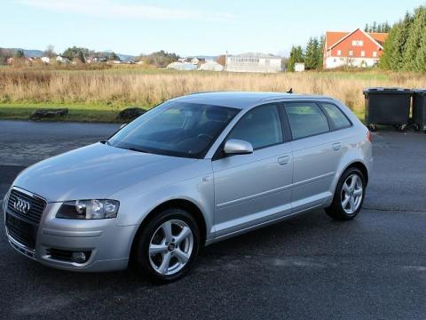 Audi A3 1,9 TDi Sportback Gris