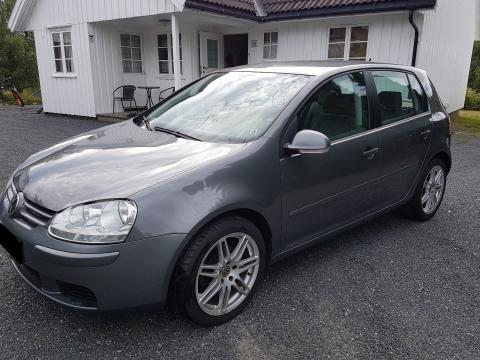 Volkswagen Volkswagen Golf 1,9 TDI Volkswagen Golf Gris