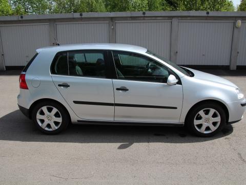 Volkswagen Volkswagen Golf Volkswagen Golf 1,9 TDI Gris