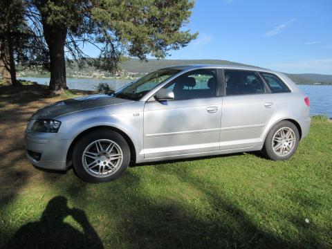 Audi Audi A3 1,9 TDI 2007 Automatique Audi A3 1,9 TDI   Gris