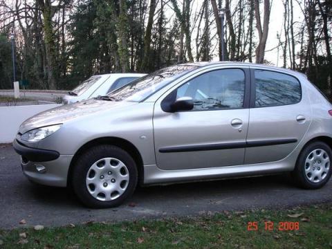 Peugeot 206 62000 Gris