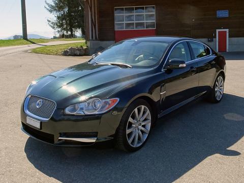 Jaguar XF  Premiun Luxury Vert