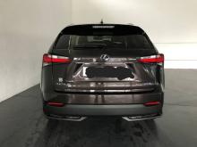 Lexus Nx300h Hybride  Marron