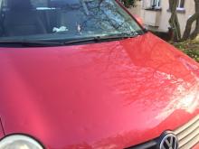 Volkswagen Polo 1.4 16V Highline Bordeaux